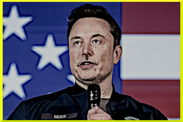 Musk mega ...?